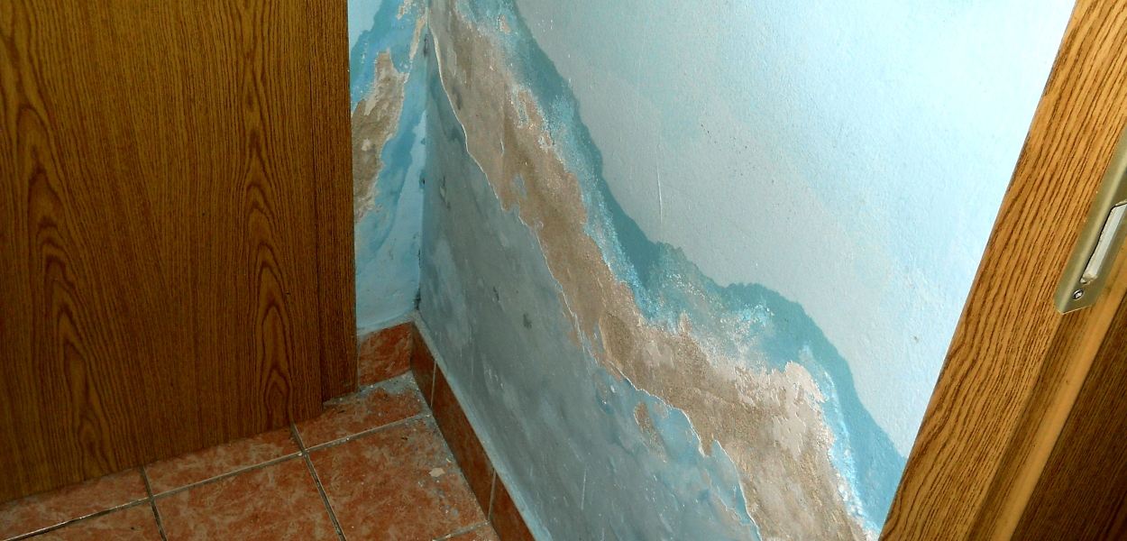 Posledice vodne škode